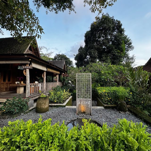 A very serene and quiet resort in Canggu