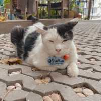  Rimrayhouse  bangsaen