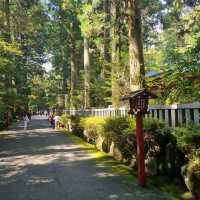Must Visit Hakone Shrine