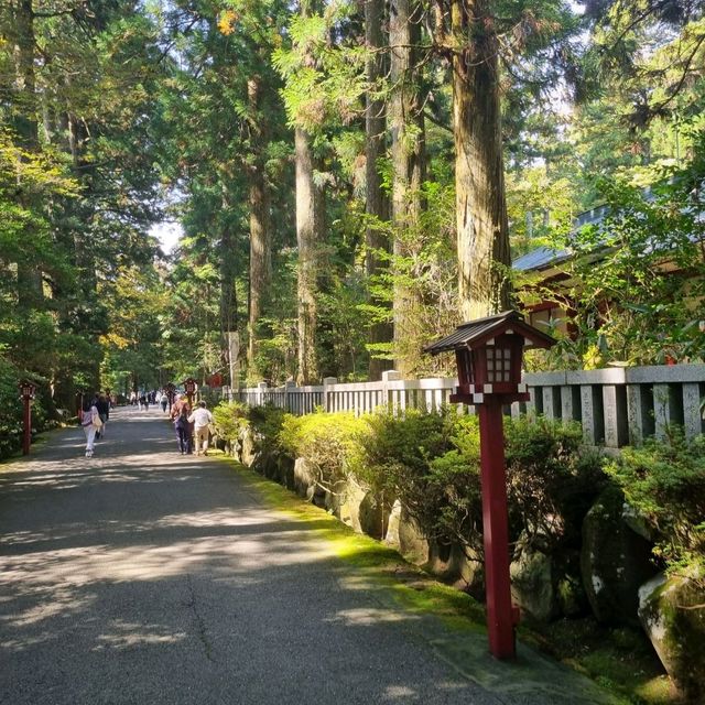 Must Visit Hakone Shrine