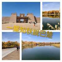巴楚縣胡楊林秋天盛宴，紅海景區金光爛美不勝收