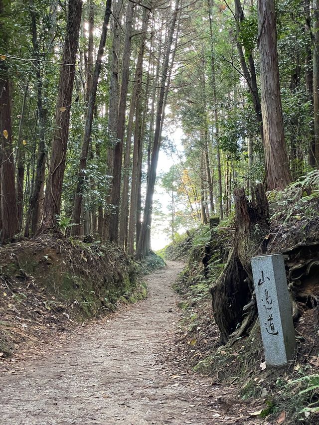 【奈良県/檜原神社】2023年行ってよかった！奈良県の神社④