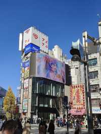 เมืองที่ไม่เคยหลับไหล Shinjuku, Tokyo