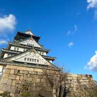 【大阪】大阪城の近くでクセになる抹茶とお団子のお店
