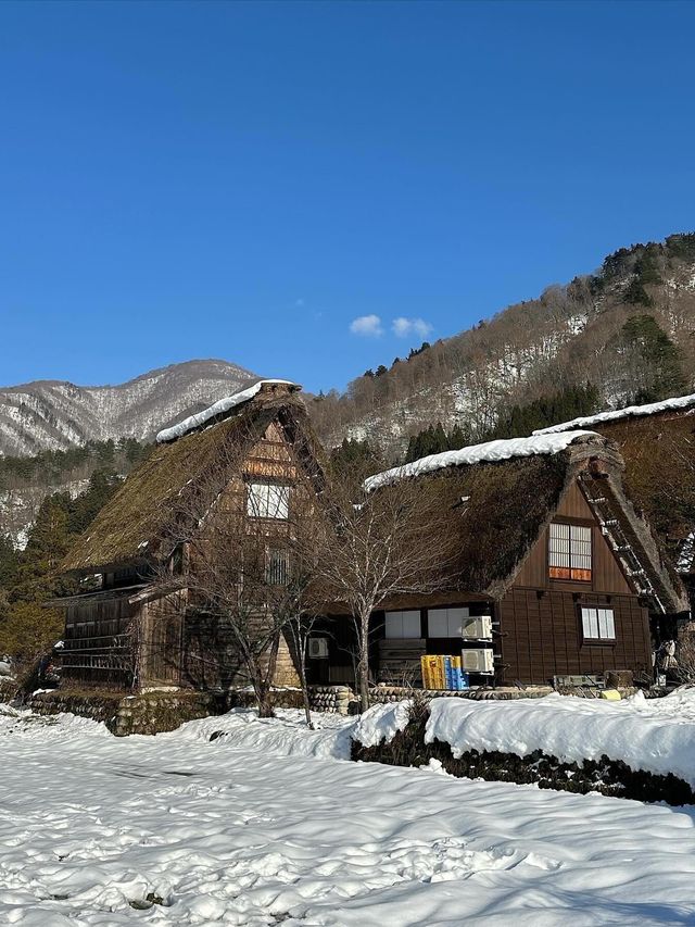 【日本/岐阜】世界遺産！冬の白川郷🏠