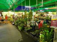 ตลาดน้ำบางน้ำผึ้ง 🌴🌴🌴