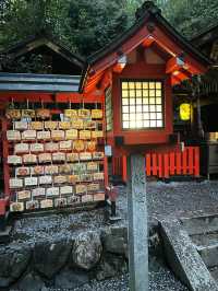 A shrine inside the bamboo forest ⛩️🕋