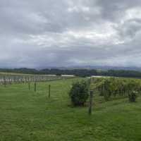 【澳洲】試飲氣泡酒Domaine Chandon Winery