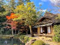 Traditional garden in Nara