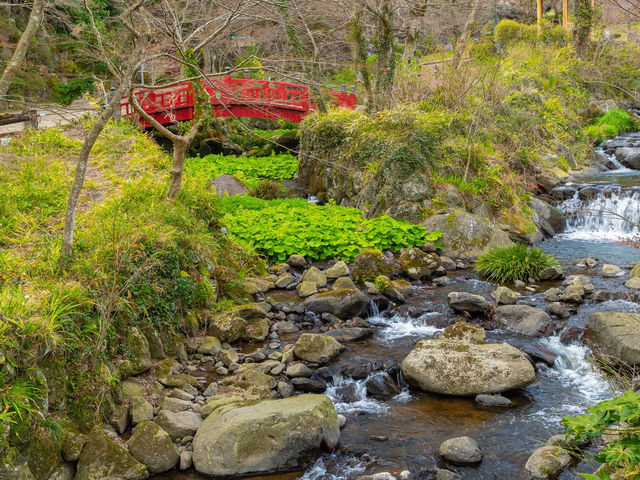 Atami Plum Garden