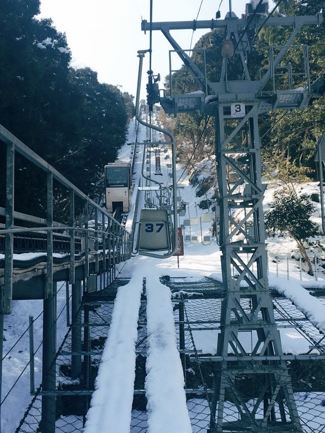🇯🇵日本三景之一👣 天橋立View Land的飛龍觀🐉