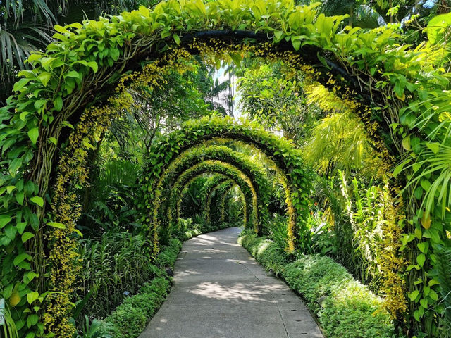 Singapore Botanic Gardens