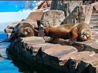 Edogawa City Nature Zoo