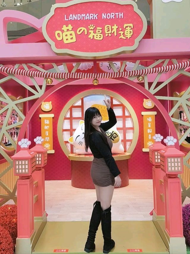 🐱喵の福財運🌟速速報到！！
