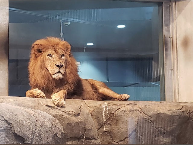 Sapporo City Maruyama Zoo