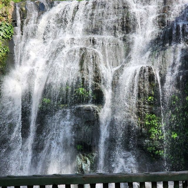 The Falls right in the heart of Manila!! 