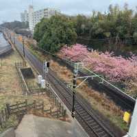 「神奈川三蒲半島遊」免費換貴賓室，升級鑽石會員賺取額外40% Trip Coins