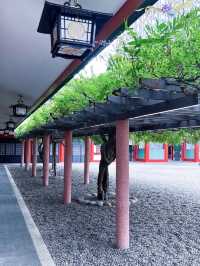 【東京|溜池山王】ビル街に佇む巨大な鳥居⛩️