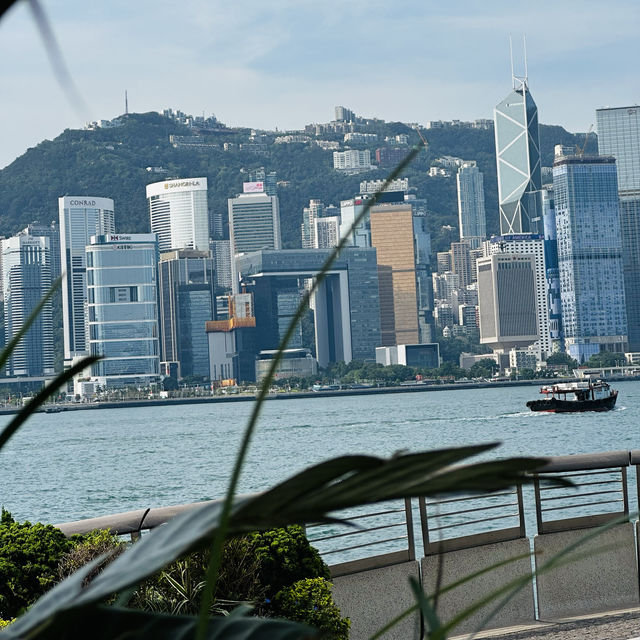 Avenue of Stars: HongKong's Tribute to Cinema