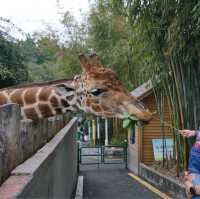 充滿驚喜的動物園