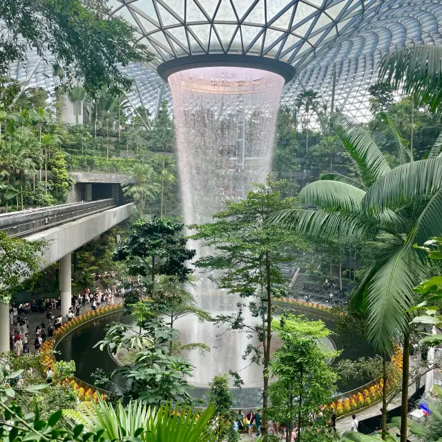 Singapore is a place to go for healing rather than food broadcasts.