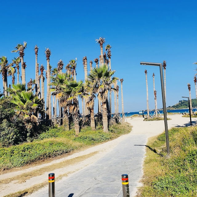 beach in Jeju