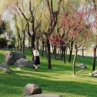 深圳內湖公園：自然與寧靜的綠洲 🌳🏞️