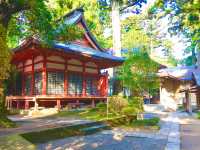 Japan’s rich cultural heritage 🇯🇵❤️