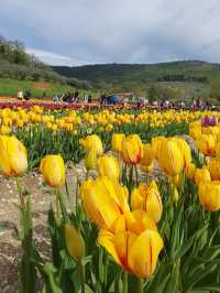 TuliPark - Spoleto