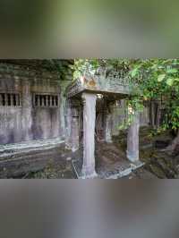 【カンボジア・シェムリアップ】ベンメリア遺跡〘観光〙