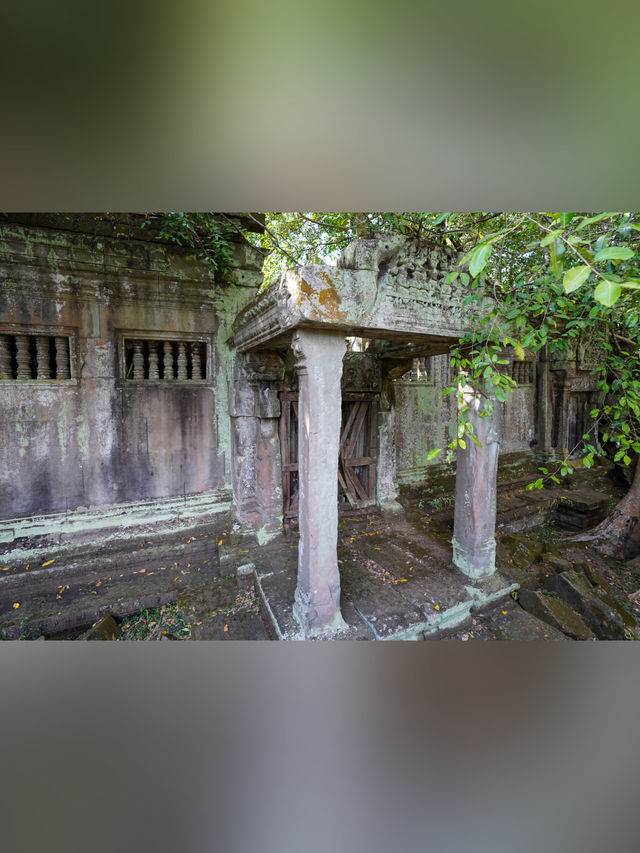 【カンボジア・シェムリアップ】ベンメリア遺跡〘観光〙