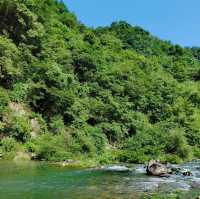 咖啡山森林保護公園：原生態環境、豐富生物、戶外活動，親近大自然
