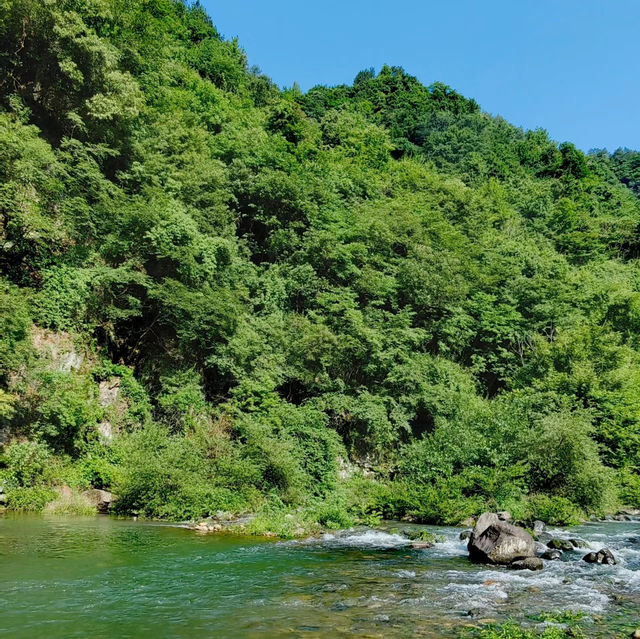 咖啡山森林保護公園：原生態環境、豐富生物、戶外活動，親近大自然