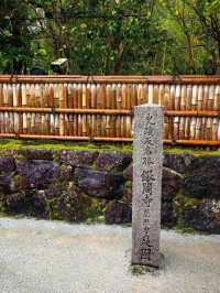 春風再起：日本櫻花之美 