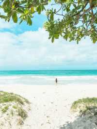 【ハワイ】全米トップ10の美しいビーチ⛱️