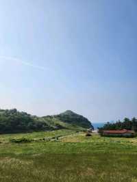 🍊🏡제주 유채꽃 명소 소색채본 카페