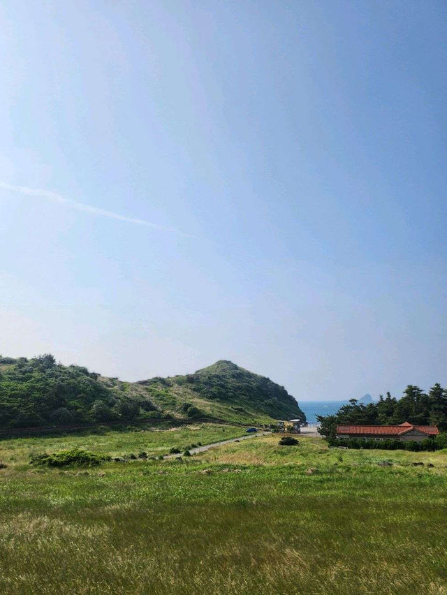 🍊🏡제주 유채꽃 명소 소색채본 카페