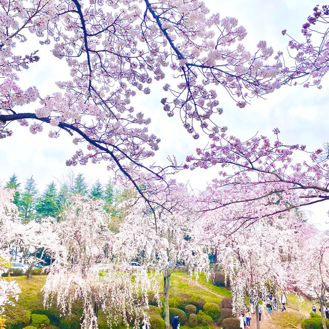 Calming Reflections at Bomunjeong Pavilion