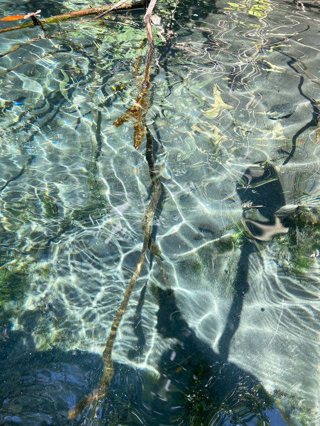 Kayak in Krabi Mirror Lake