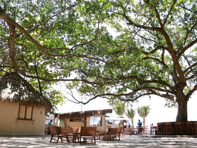 เที่ยวทานกาแฟที่ She Sails Cafe