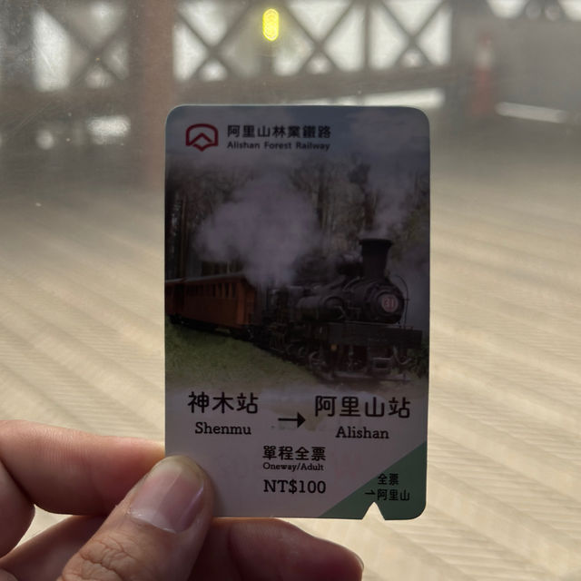 อุทยานแห่งชาติอาลีซาน นั่งรถไฟชมวิวป่าสนพันปี