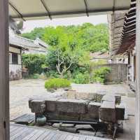 초여름에 전주 꼭 가줬으면 하는 이유🌿 