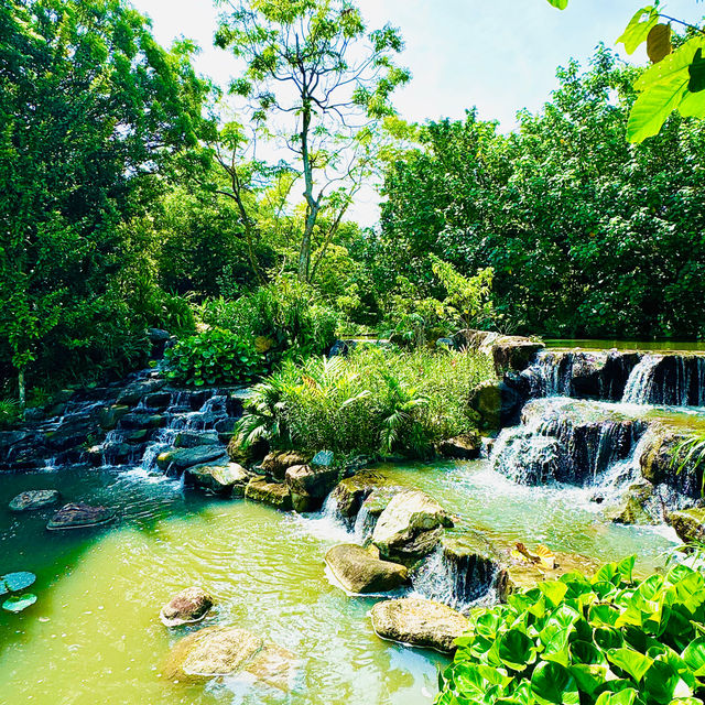 🇸🇬 Wetlands at Gardens by the Bay
