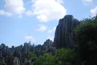 Stone Forest, The Wonder under the Heaven