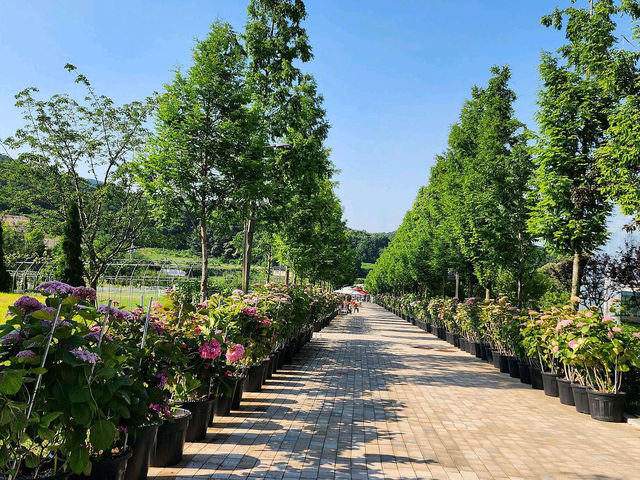 용인 정원 카페, 베이커리 카페 베툴라
