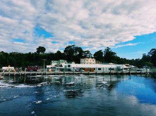 Gordon River Cruises