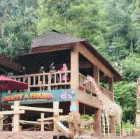 Uncovering Ancient Secrets: The Lost World of Tambun Casts a Spell
