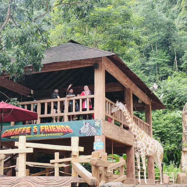 Uncovering Ancient Secrets: The Lost World of Tambun Casts a Spell
