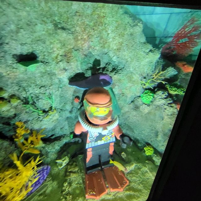 日本樂高樂園LEGOLAND Japan Resort