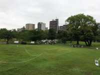 漫步隅田公園：東京都市中的綠意與壯麗景觀